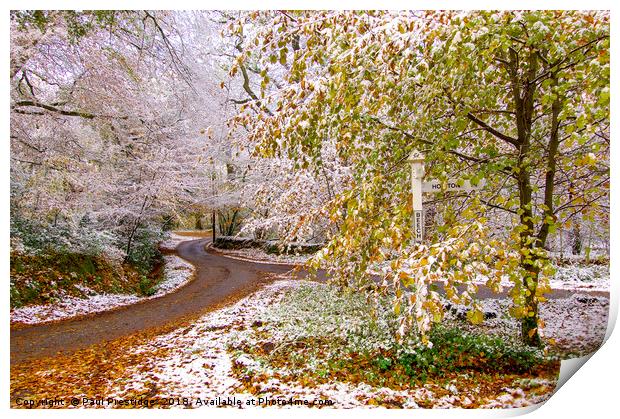 November Snow in Devon Print by Paul F Prestidge