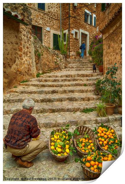 Oranges and Lemons at Fornalutx Print by Paul F Prestidge