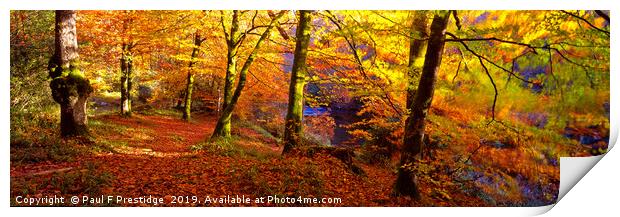 Autumnal Splendor at Spitchwick Print by Paul F Prestidge