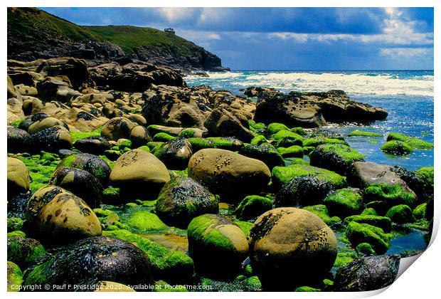 The Cornish Coast at Rinsey Head Print by Paul F Prestidge