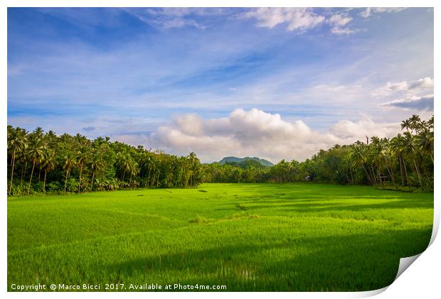 Countryside of Bohol Print by Marco Bicci