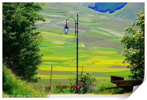 Bicycle leaning on a street lamp Print by Marco Bicci
