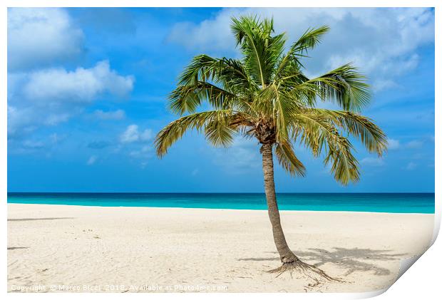 Palm tree alone on the white sand of the Eagle Bea Print by Marco Bicci