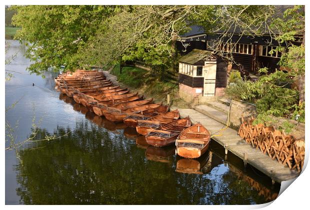 Rowing boats Print by David Dodd