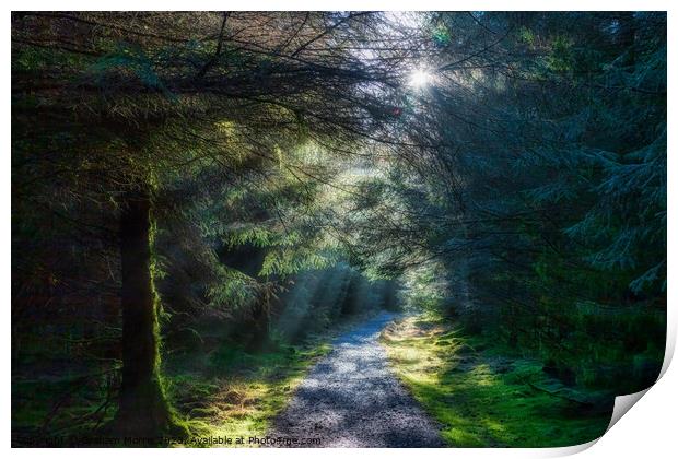 sunlight burst Print by Graham Morris