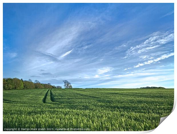 Field of Barley Print by Darren Mark Walsh