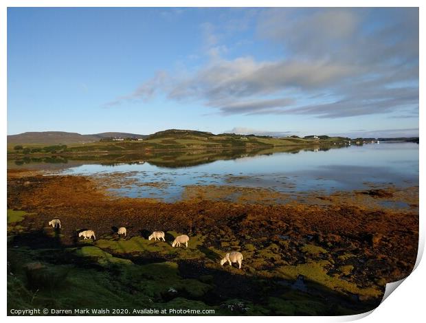 Morning at Loch Dunvegan Print by Darren Mark Walsh