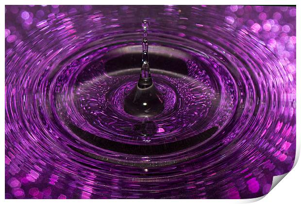 Splash of Purple Print by Jennifer Higgs