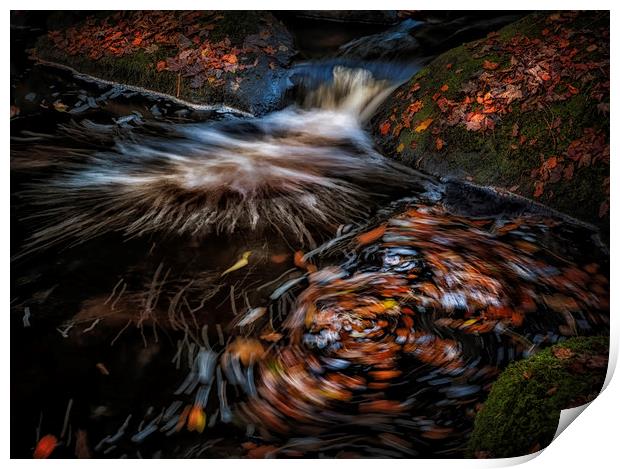 Autumn leaves River Burbage Print by Nick Lukey