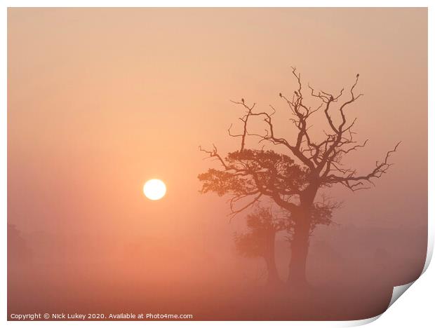 sunrise on a misty morning swarkestone derbyshire Print by Nick Lukey
