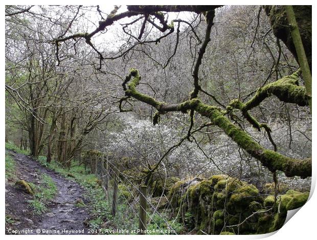 Mossy Branches Print by Denise Heywood