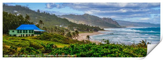 Panoramic View of Coast with Blue Home Print by Darryl Brooks