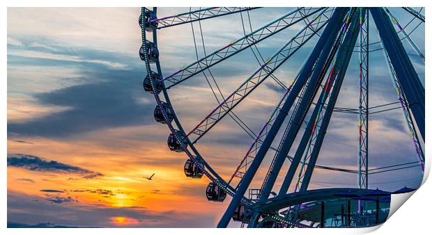 Seagull by Wheel at Sunset Print by Darryl Brooks