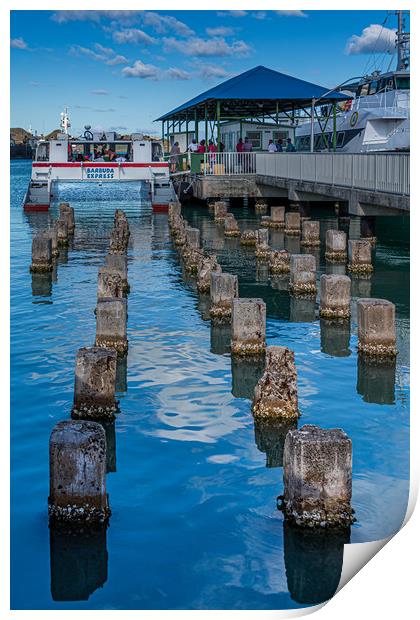 Old Pilings into Barbuda Express Print by Darryl Brooks