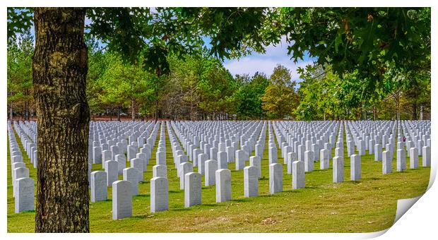 Rows of Markers at Veterans Cemetery Beyond Tree Print by Darryl Brooks
