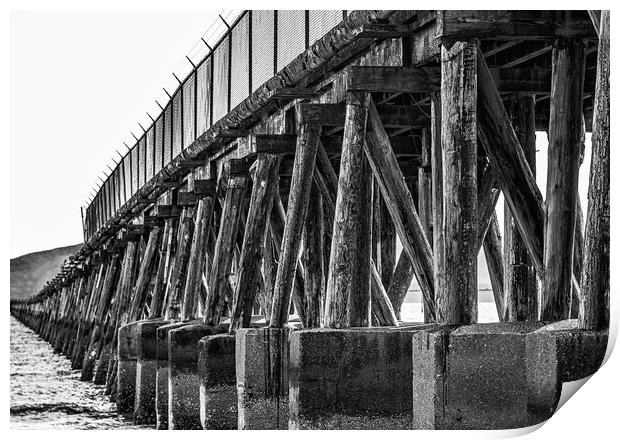 Supports on Old Abandoned Pier Print by Darryl Brooks