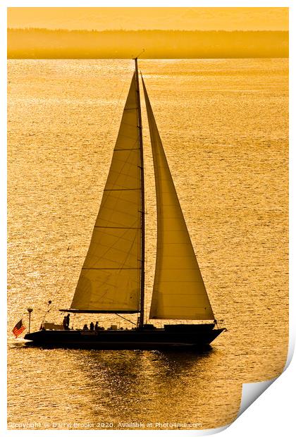 Sailboat in Golden Bay Print by Darryl Brooks