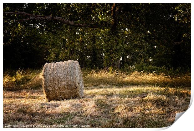 A roll of hay next to a wooded area Print by Darryl Brooks