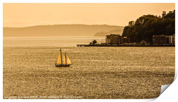 Three Sails in the Sunset Print by Darryl Brooks