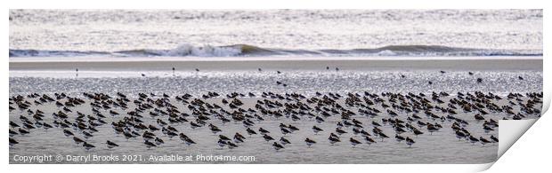 Flock at Water's Edge Print by Darryl Brooks