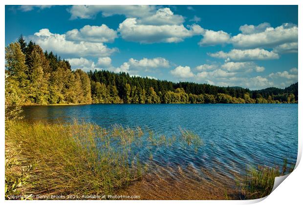 Evergreens Around Peaceful Lake Print by Darryl Brooks