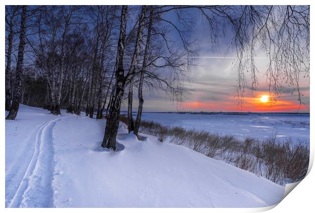 Trees and setting sun in winter valley Print by Dobrydnev Sergei