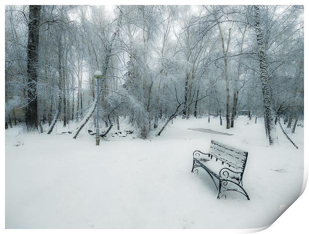 Snow-covered city park with a lonely bench Print by Dobrydnev Sergei