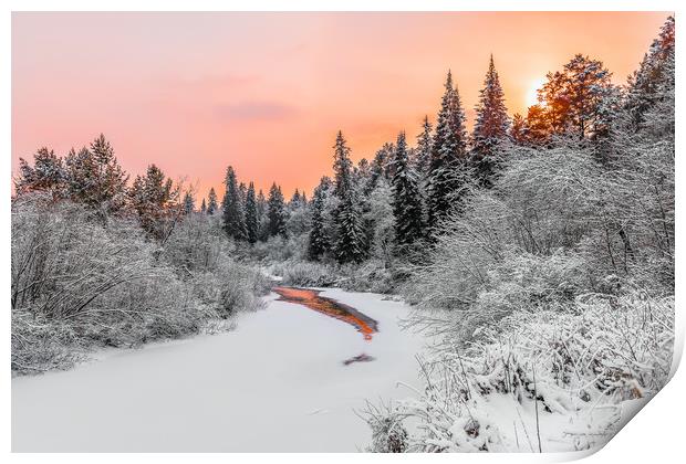 Evening sky over a frozen forest river Print by Dobrydnev Sergei
