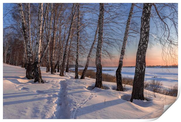 Birch trees on the edge of a snow-covered river va Print by Dobrydnev Sergei
