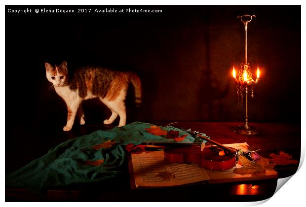 Nocturne for violin a cat Print by Elena Degano