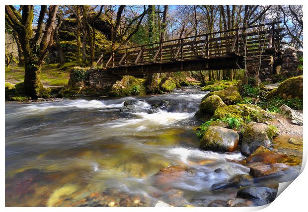 The River Walkham                                  Print by Sean Clee