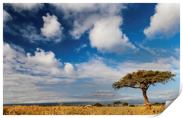 Kilimanjaro Print by Sean Clee