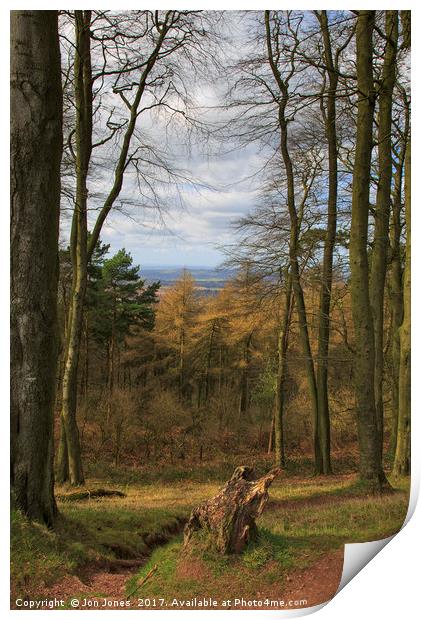 View from the Clent Hills Print by Jon Jones
