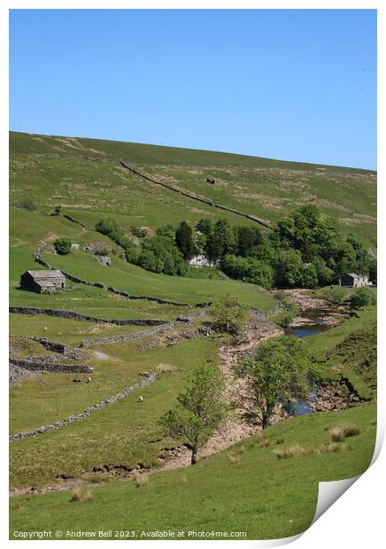 Serene landscapes of Upper Swaledale Print by Andrew Bell