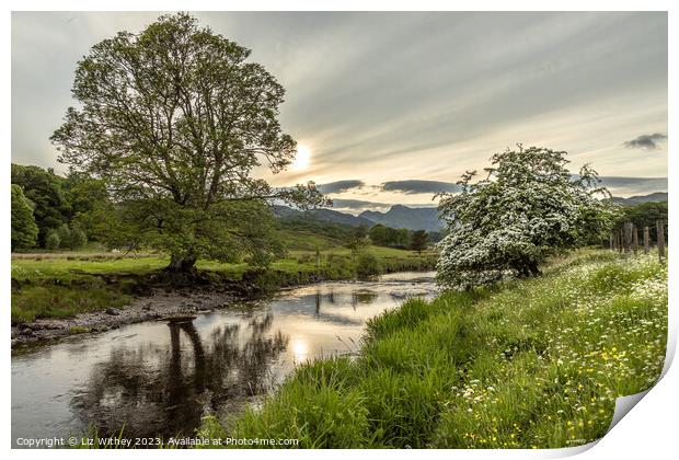 River Brathay and Langdale Pikes Print by Liz Withey