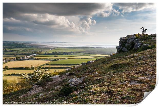 Morecambe Bay from Warton Crag Print by Liz Withey