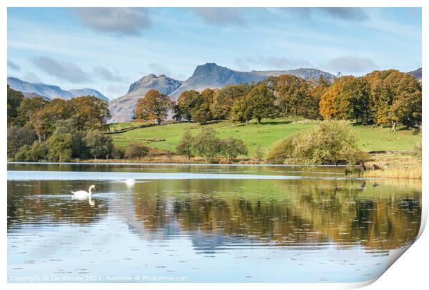 Langdale Pikes and Loughrigg Print by Liz Withey
