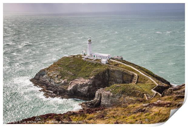 South Stack, Angelsey Print by Liz Withey