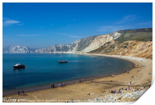 Worbarrow Bay Print by Terry Lucas