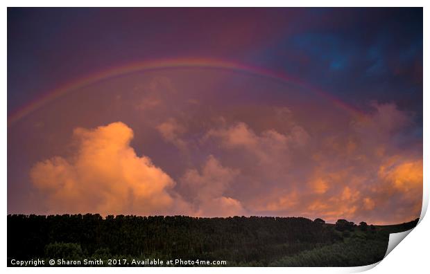 Rainbow Print by Sharon Smith