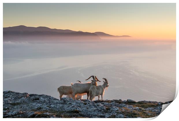 Watching the sun go down Print by North Wales Photography