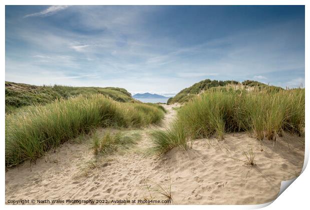Newborough sand dunes Print by North Wales Photography