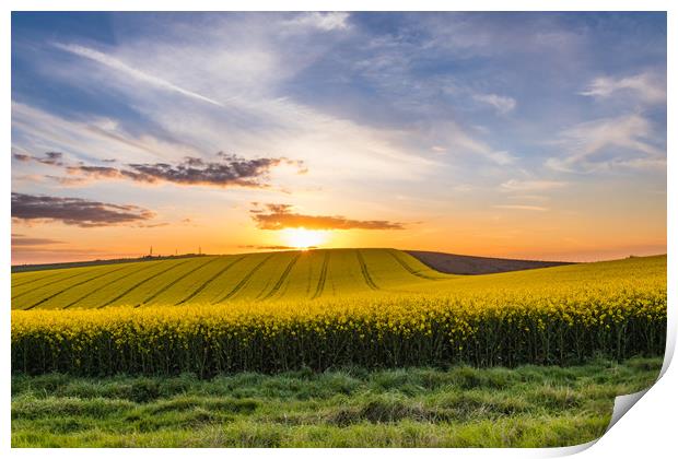 South Downs Sunset Print by Nigel Smith