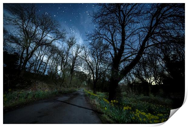 Moonlit daffodils and stars, Ingleton Print by Pete Collins