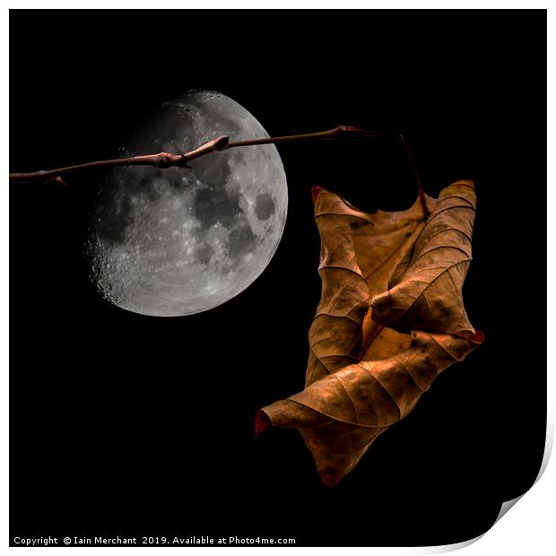 Autumn Moon Print by Iain Merchant