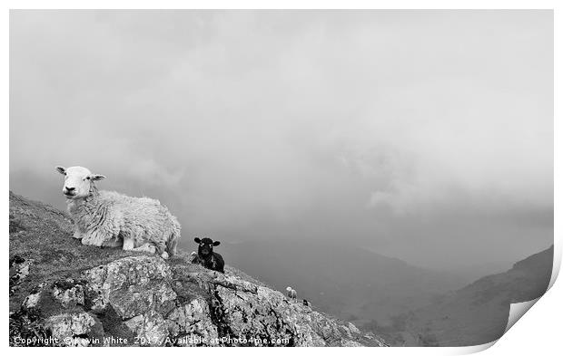 Great Langdales Print by Kevin White