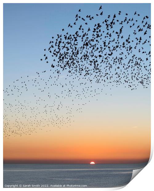 Starling Murmuration Sunset Print by Sarah Smith