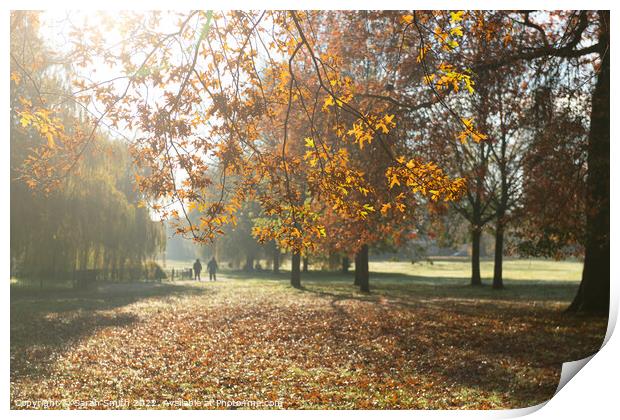 Autumn in Manor Park, Aldershot Print by Sarah Smith