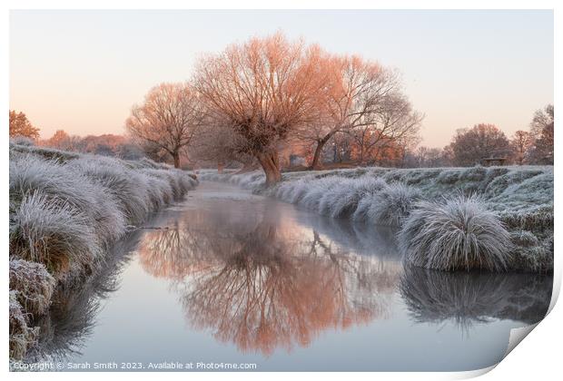 Winter at Beverley Brook Print by Sarah Smith