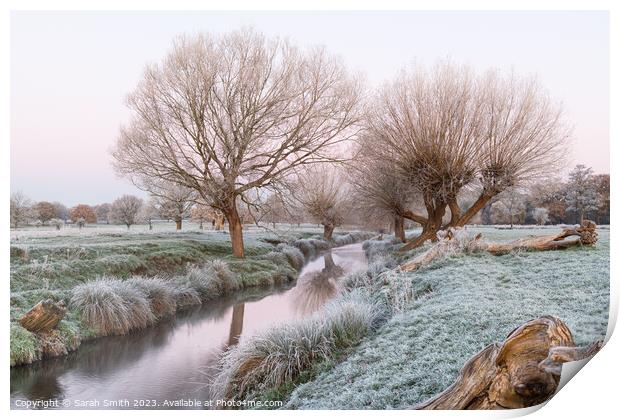 A Frosty Morning at Beverley Brook Print by Sarah Smith